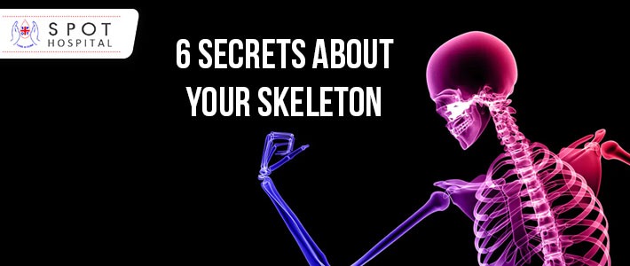 6 Secrets about your skeleton